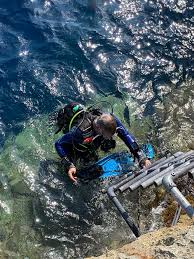 Image result for Meadurst Sub-Aqua Club