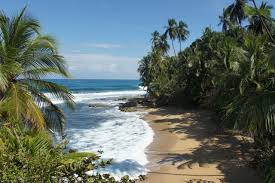 Image result for cahuita costa rica