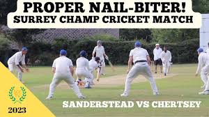 Image result for Chertsey Cricket Club