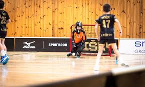 Image result for Reading University Floorball Club