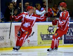 Image result for Swindon Panthers