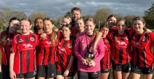 Image result for Droitwich Spa Boys & Girls Football Club