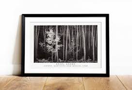 Image result for Ansel Adams Aspens New Mexico