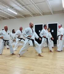 Image result for Twyford Higashi Karate Club