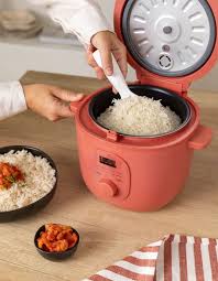 Znalezione obrazy dla zapytania rice cooker