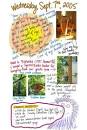 Notes About Notes: Displacement Activity