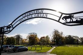 Image result for Grimsargh Cricket Club