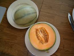 Image result for Melone