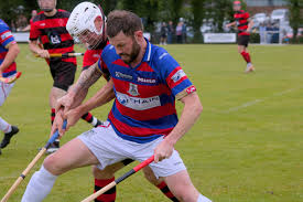 Image result for World of Shinty