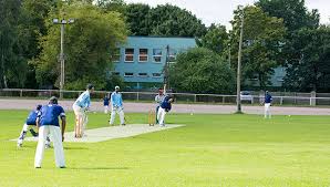 Image result for Forest Green Estonia Cricket Club