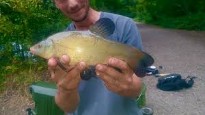 Image result for CALPAC Angling Club