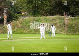 Image result for Chichester Priory Park Cc