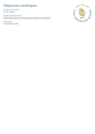 Attēlu rezultāti vaicājumam “Didymium xanthopus”