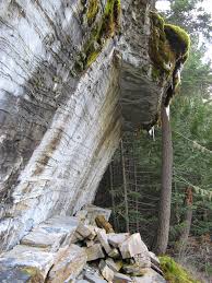 Attēlu rezultāti vaicājumam “Pseudocalliergon turgescens”