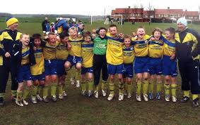 Image result for Stocksbridge Netball Club