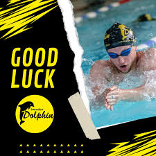 Image result for Swindon Dolphins Swimming Club