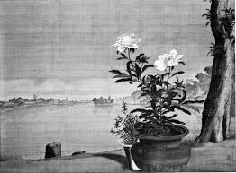 Image result for DIAMOND 貝谷