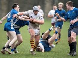Image result for Huddersfield Sharks Rugby League Football Club