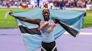 Image result for Tobogo