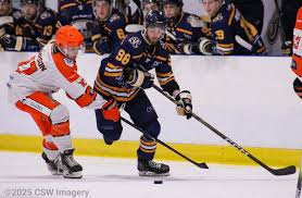 Image result for Romford Raiders