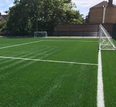 Image result for Astroturf
