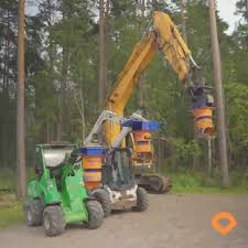 Image result for pfanzelt tehron