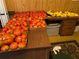 Afbeeldingsresultaat voor cabin tomato