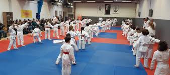 Image result for Sovereign Judo Club