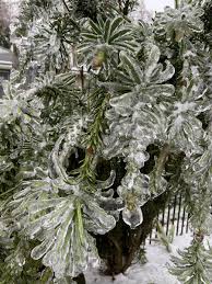 Image result for ice storm