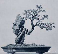 Image result for 艰苦阅历 孔泰初