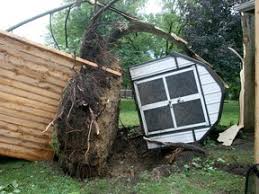 Image result for Exeter Storm