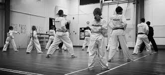 Image result for Bytomic Tae Kwon Do Henley on Thames