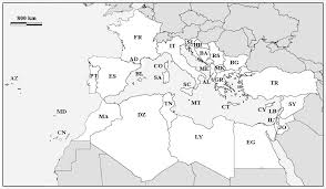 Attēlu rezultāti vaicājumam “Serpoleskea subtilis sporophyte”