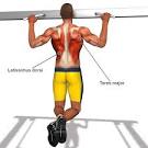 Back Exercises for your back muscles illustrated by detailed video ...