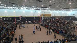 Image result for Cobbetts Boules Club