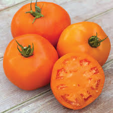 Afbeeldingsresultaat voor oranje van goeienbier tomato