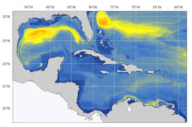 Image result for Thunnus alalunga