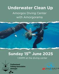 Image result for Exe To Sea Diving