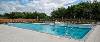 Image result for Harrogate Swimming Club