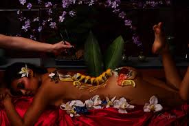 Image result for Nyotaimori