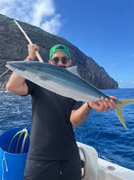 Image result for Elagatis bipinnulata