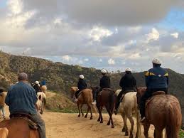 Image result for Carman Stables Archery