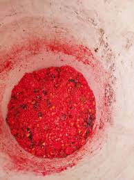 Image result for pheega