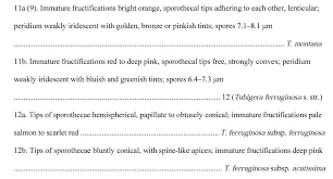 Attēlu rezultāti vaicājumam “Tubifera montana spores”