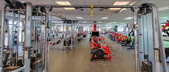 Image result for Swallows Of Helston Gym Club