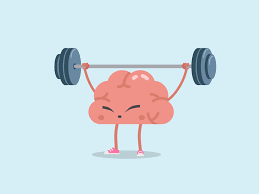 Image result for no brain