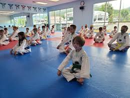 Image result for Ashford School Of Taekwondo