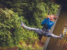 Image result for Go Ape! Thetford