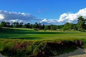 Image result for Walton Heath Golf Club