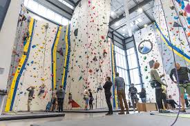 Image result for Hemsworth Odyssey Gymnastics Squad